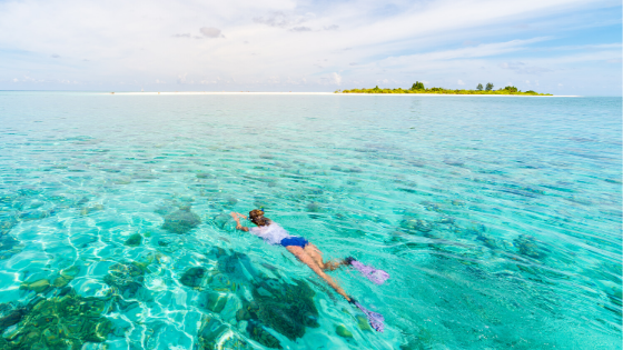 Snorkeling In River Maya Snorkeling In River Maya