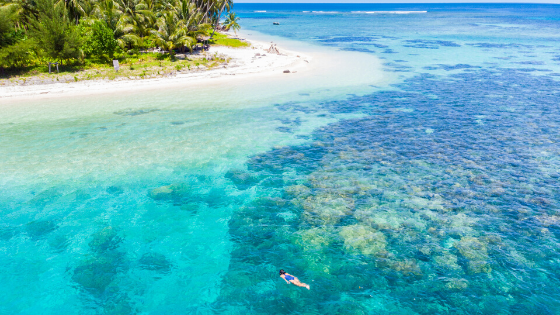 Tips on How To Snorkel in the Riviera Maya